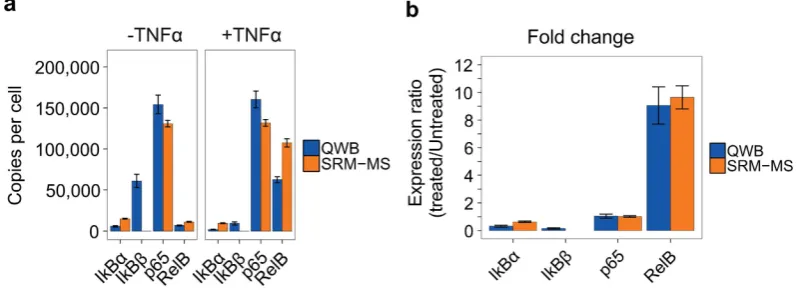 Figure 6. Target protein quantification. (a) Comparison of absolute quantification values for each target protein as obtained by SRM-MS and QWB