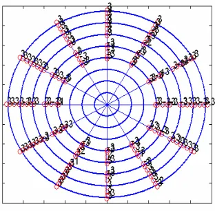 Figure 4. Distribution of shims on the pole surface.
