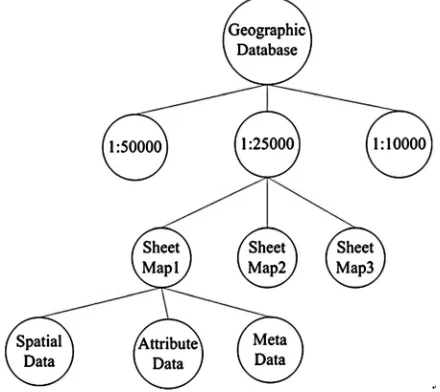 Figure 1. Geographic database classification tree. 