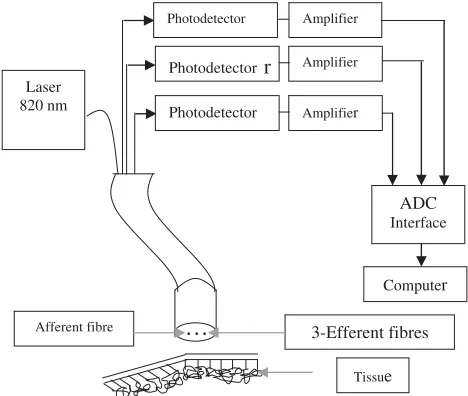 Figure 1. Multiprobe laser reﬂectometry.