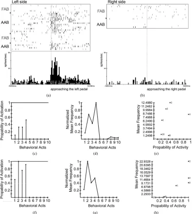 Figure 9. Example of the activity of alcohol specific SE-neuron in CA1. The neuron had “specific” activation only in the AAB