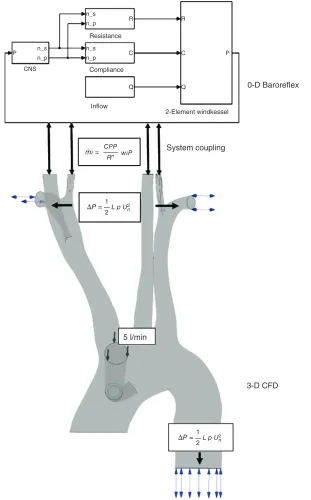 FIGURE 5 | Multiscale model of cardiopulmonary bypass. (Reprinted with permission from Ref 76