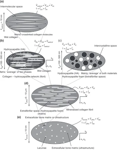FIGURE 3 | Micromechanical representation of bone material by means of a ﬁve-step homogenization procedure