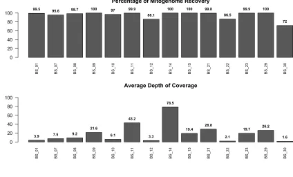 Figure 3. Mitogenome recovery and sequencing depth of coverage resulting from the shotgun sequencing