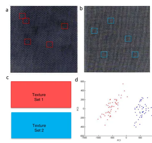 Figure 1: Texture feature extraction and comparison tech-nique. (a) Sampling from Texture 1 at locations in red;(b) sampling from Texture 2 at locations in blue; (c) Com-bined feature dataset organised by window number vs ﬁl-ter number; (d) PCA representation of Texture Set 1 (red)and Texture Set 2 (blue).