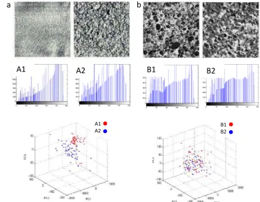 Figure 2: PCA-based detection applied to textured images from Brodatz dataset. (a) Set of two differenttextured images, corresponding histograms and PCA analysis indicating a separation boundary with min-imal overlap (bottom); (b) Set of two highly similar textured images, corresponding histograms and PCAanalysis showing complete overlap.