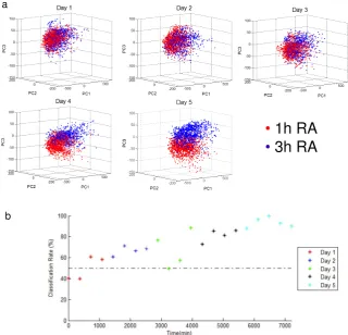 Figure 4: Texture analysis of differentiation experiments. (a) Texture characteristics extracted from twoculture conditions 1hRA (red) pulse and 3h RA pulse (blue) are visualised in the ﬁrst principal componentspace; (b) Classiﬁcation rates for linear discriminant trained on the last timepoint describe the divergencebetween the two clusters at every 6h.
