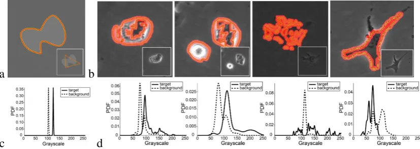 Figure 1: Grayscale-intensity based segmentation using CS model: recovered contour in (a) artiﬁcialimage and (b) phase-contrast microscopy images of cells; corresponding target and background distri-µbutions at ﬁnal iteration shown in panels (c) and (d) re