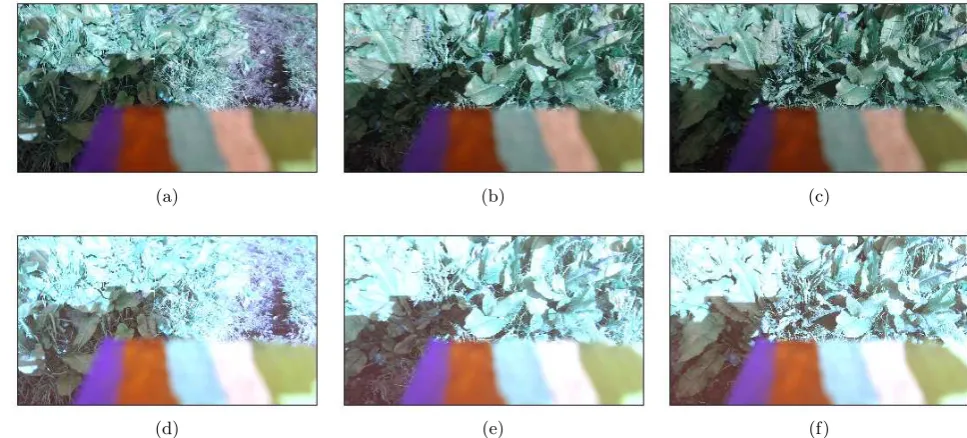 Figure 3: Colour Calibration.pre-processing has taken place. Figures d, e and f are colour calibrated versions of ﬁgures a, b Figures a, b and c are raw images of dock leaves before anyand c, respectively.