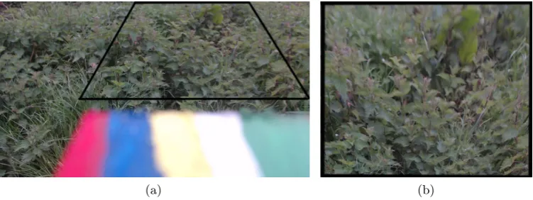 Figure 4: Perspective normalisation. a) Raw image from left camera, with grid annotationshowing 1.16m width x 1m depth on the ground
