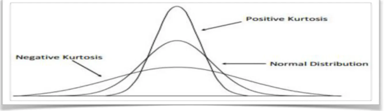 Figure 12: Kurtosis 