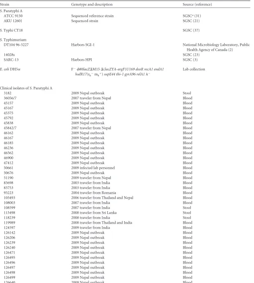 TABLE 1 Bacterial strains used in this study