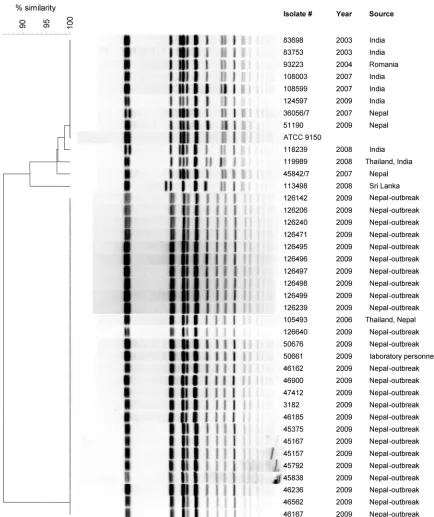 FIG 1 Molecular ﬁngerprinting of S. Paratyphi A strains. Forty S. Paratyphi A isolates, including 26 clones isolated from the 2009 outbreak, an isolate frominfected laboratory personnel (50661), 12 sporadic strains isolated during 2003 to 2008, and the ATC