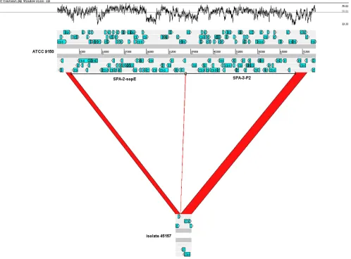FIG 3 The outbreak strain lacks a 65.7-kb region of SPA-2-sopE and SPA-3-P2 prophages