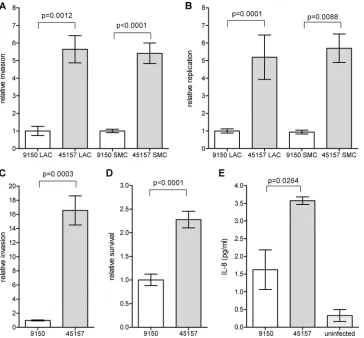 FIG 4 The outbreak strain demonstrates an increased virulence in vitro. The S. Paratyphi A reference strain ATCC 9150 and the outbreak strain (isolate 45157)were grown to either late logarithmic phase under aerobic conditions (LAC) or to a stationary phase