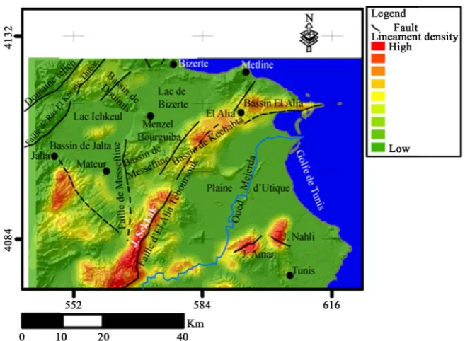 Figure 8. Map of distribution of lineaments density. 