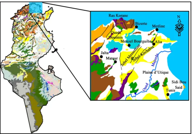 Figure 1. Localization of study area.  