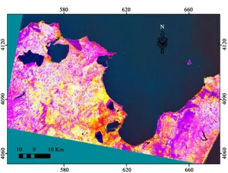 Figure 3. Image in compound colored formed by the three first principal component. 