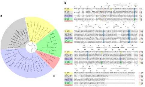 Fig. 5 Protein phylogeny and sequence alignments of reduced phosphorus compound PBPs. a Unrooted phylogenetic tree of reduced P compoundtransporter PBP amino-acid sequences