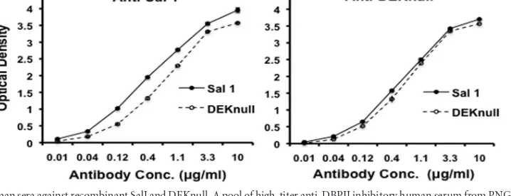 FIG 4 Reactivity proﬁles of anti-SalI and anti-DEKnull sera with recombinant antigens