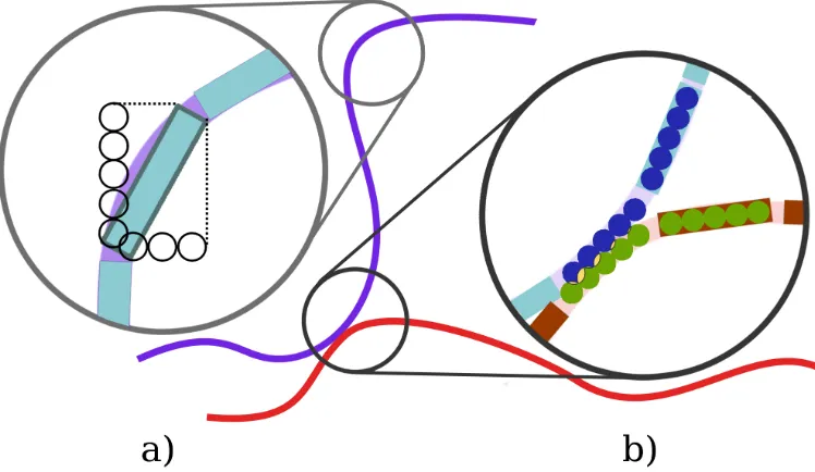 Figure 2.1: Graphic model representation;a) Cylinder is represented through projectionsdivided into spheres for hydrodynamic torque and force calculation