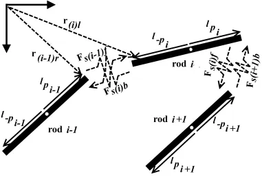 Figure 2.6: Schematic representation of rigid segments connected through elastic springs.