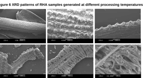 Figure 7 Morphology of raw rice husk by SEM imaging. 