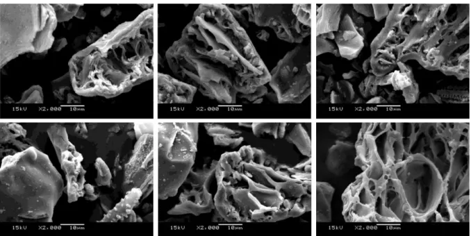 Figure 8 Morphology of RHA generated at different processing temperatures: 700°C (top le ft);  750°C (top centre); 800°C (top right); 850°C (bottom right); 900°C (bottom centre); and 95 0°C 