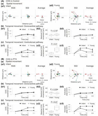 Figure 3. Spatio-temporal analysis of optical response in the absence (A) and presence (B) of PTX