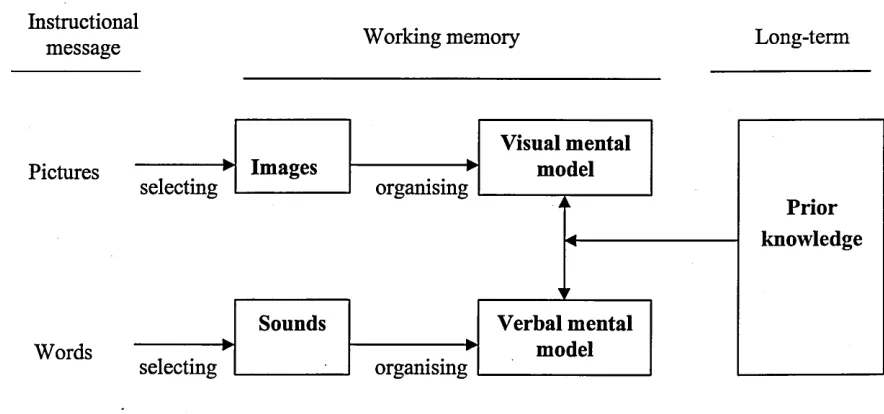 Figure 4. The SOI model of constructivist learning presented by Mayer (1999a)