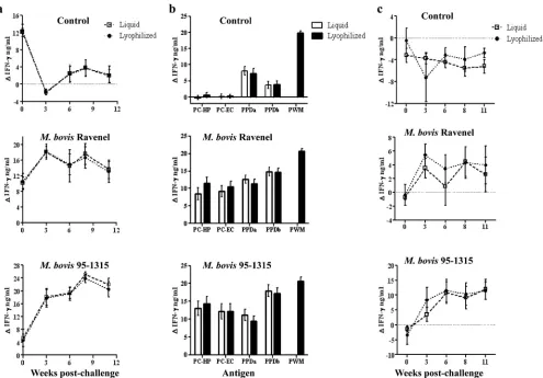 FIG 1 Comparison of IFN-95-1315-infected (� responses to liquid and lyophilized antigen preparations from control (n � 5) as well as M