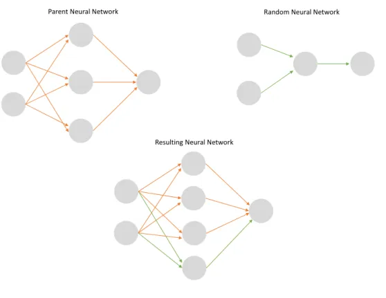 Figure 3.1: An example of an application of the GSM operator Gonçalves, 2017 The initial random neural networks can have any number of layers and neurons.