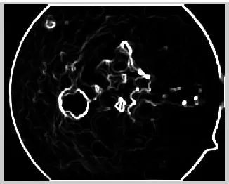 Figure 8: image after colfilt 