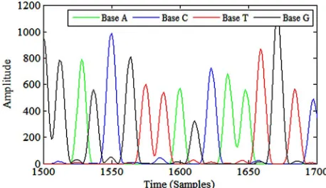 Figure 1. Segment of an electropherogram trace. 