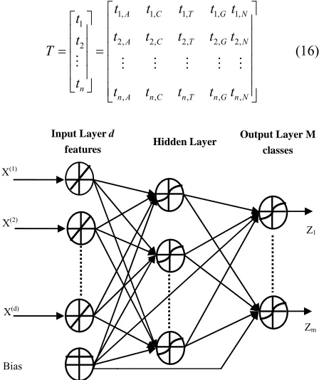 Figure 6. A single hidden layer feedforward neural network. 