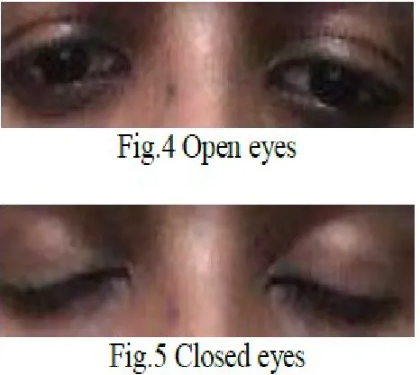  fig 8 