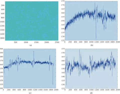 Figure 2. Cells with blurry boundaries. 