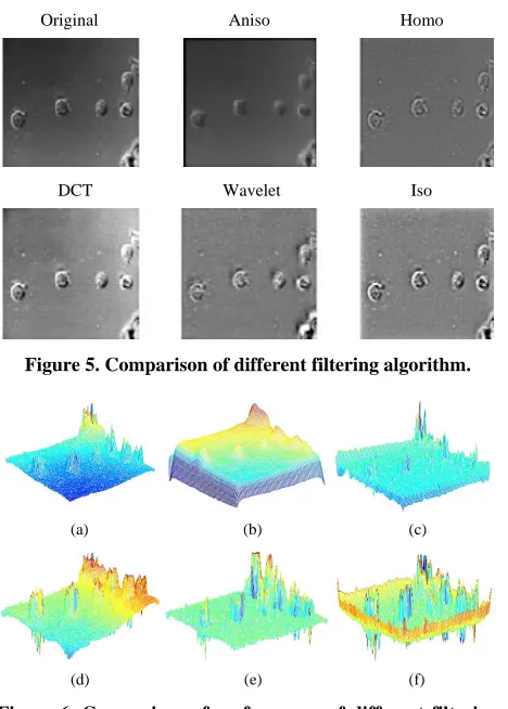Figure 6. Comparison of surface map of different filtering algorithm. (a) Original; (b) Aniso; (c) Homo; (d) DCT; (e) Wavelet; (f) Iso