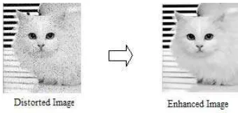 Figure 2: RGB & Grey Scale images 