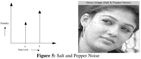 Figure 5:   Salt and Pepper Noise 