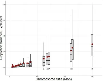 Fig. S5. The proportion of additive genetic variance of bill length explained by a chromosome in relation to chromosome size