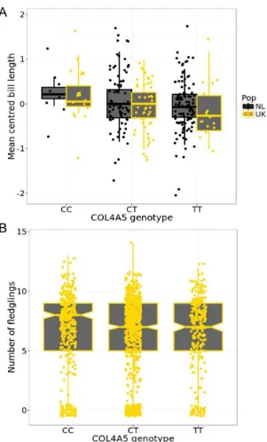 Fig. S9.  at the most significant bill-length GWAS SNP at COL4A5. (A) Mean-centered bill length in relation to genotype in the UK and Dutch populations