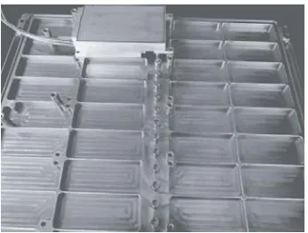 Figure 6. Photograph of the proposed array antenna. (a) Top view. (b) Bottom view.
