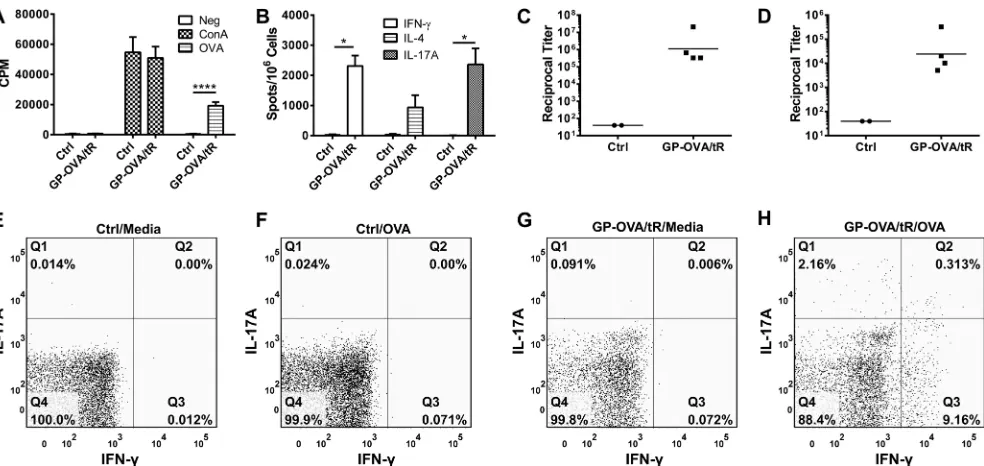 FIG 5 Durability of responses stimulated by GP immunizations. (A to D) Mice were immunized three times at 2-week intervals with 5ELISA (C), and IgG2c ELISA (D) were performed