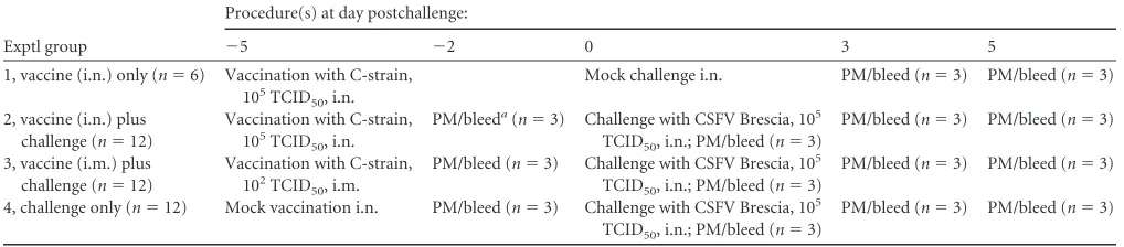 TABLE 1 Experimental design of ﬁrst vaccination/challenge experiment