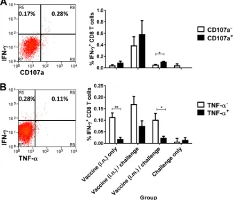 FIG 3 Functional and phenotypic characterization of “early” CSFV-speciﬁc CD8 T cells. Five days postchallenge, PBMC were stimulatedstrategy was identical to the one illustrated inof IFN- in vitro with CSFV ormock virus supernatant and the expression of CD1
