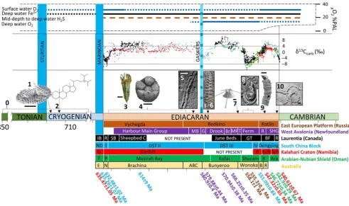 FIGURE 1 Summary of major changes in ocean chemistry and key biotic events across the Ediacaran- Cambrian transition