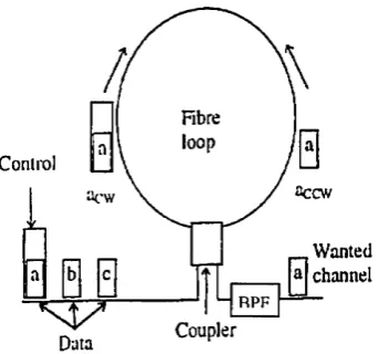 Figure 3.7 Nonlinear optical loop mirror switch