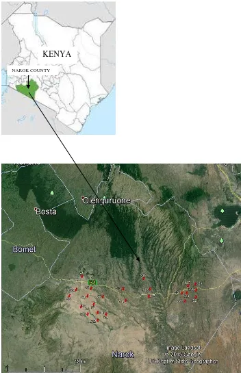 Figure 4.1 Sampling map and profile used in this work 