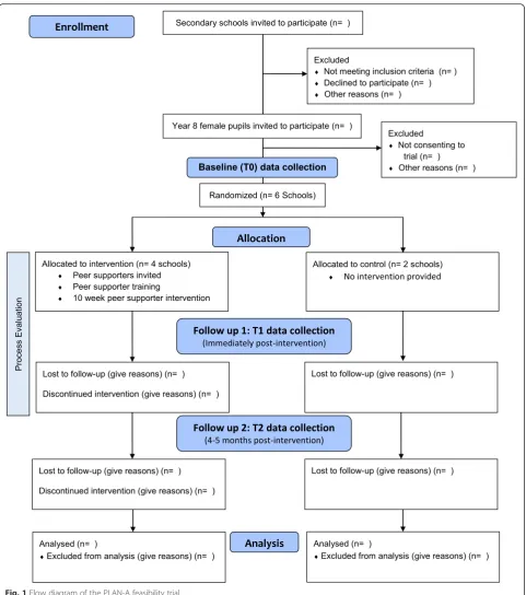Fig. 1 Flow diagram of the PLAN-A feasibility trial